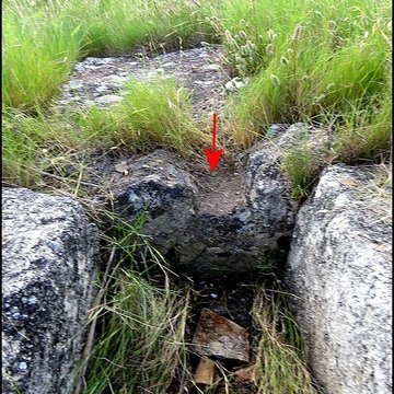 Villa gallo-romaine de Lespignan