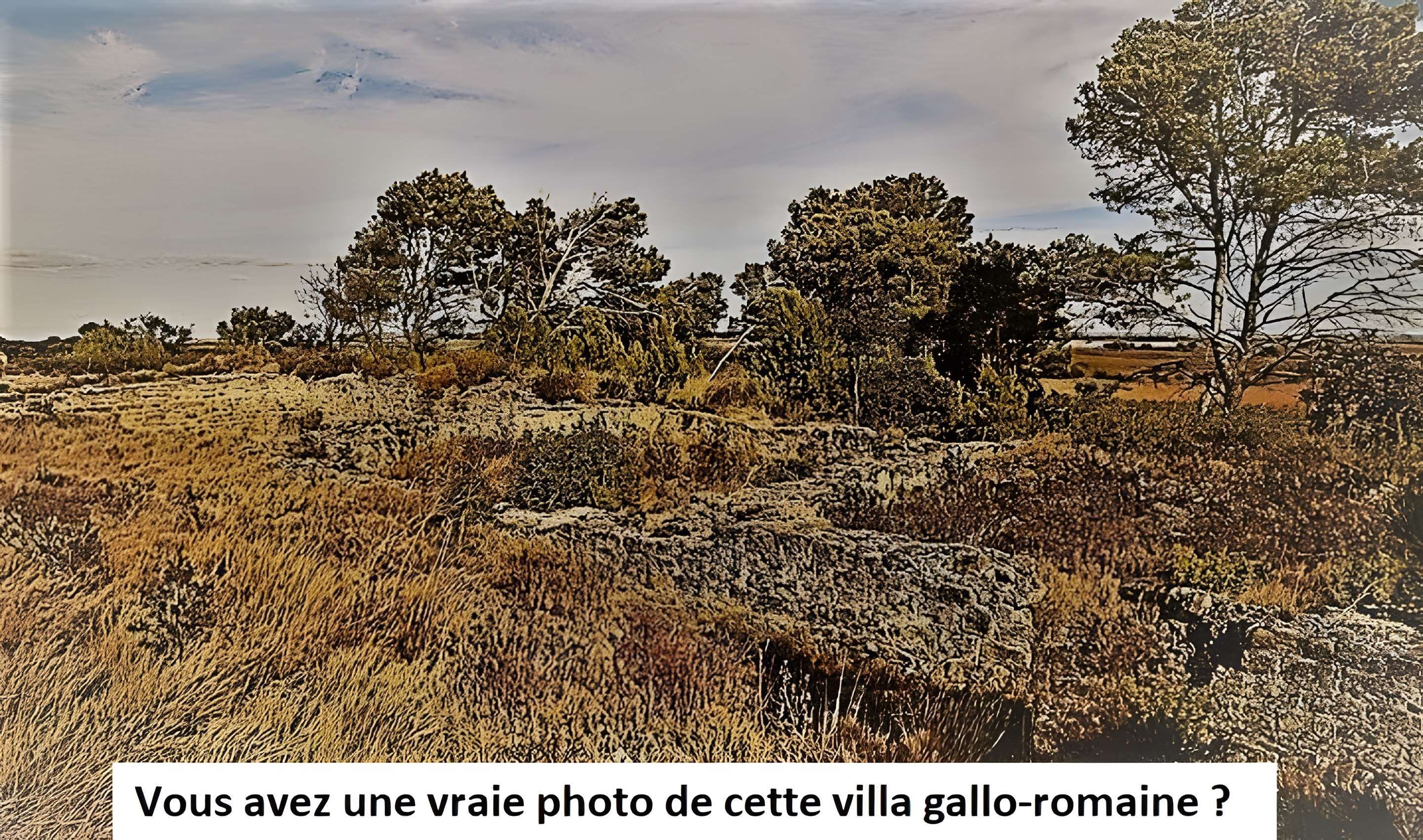 Villa gallo-romaine de Lespignan 