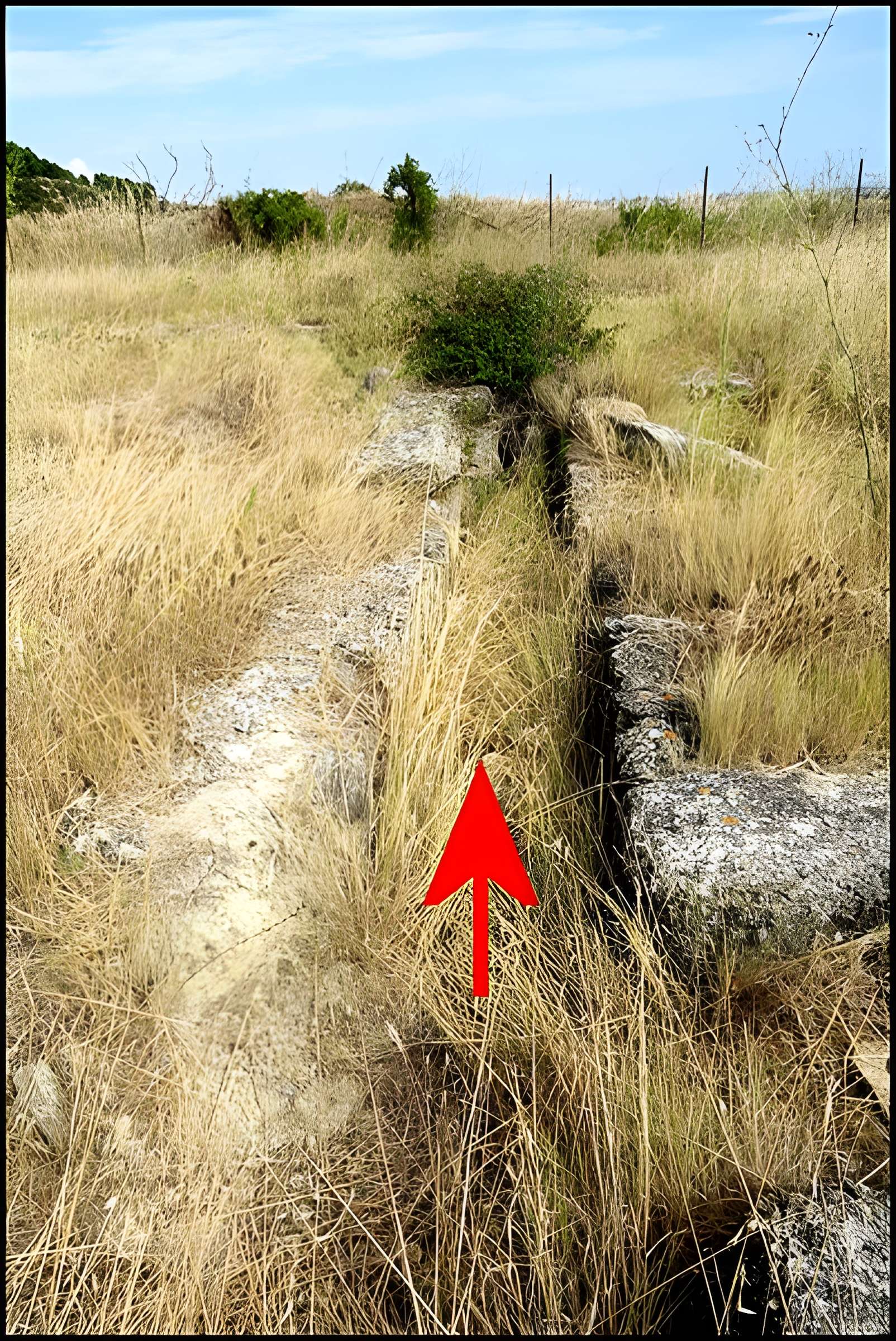 Villa gallo-romaine de Lespignan