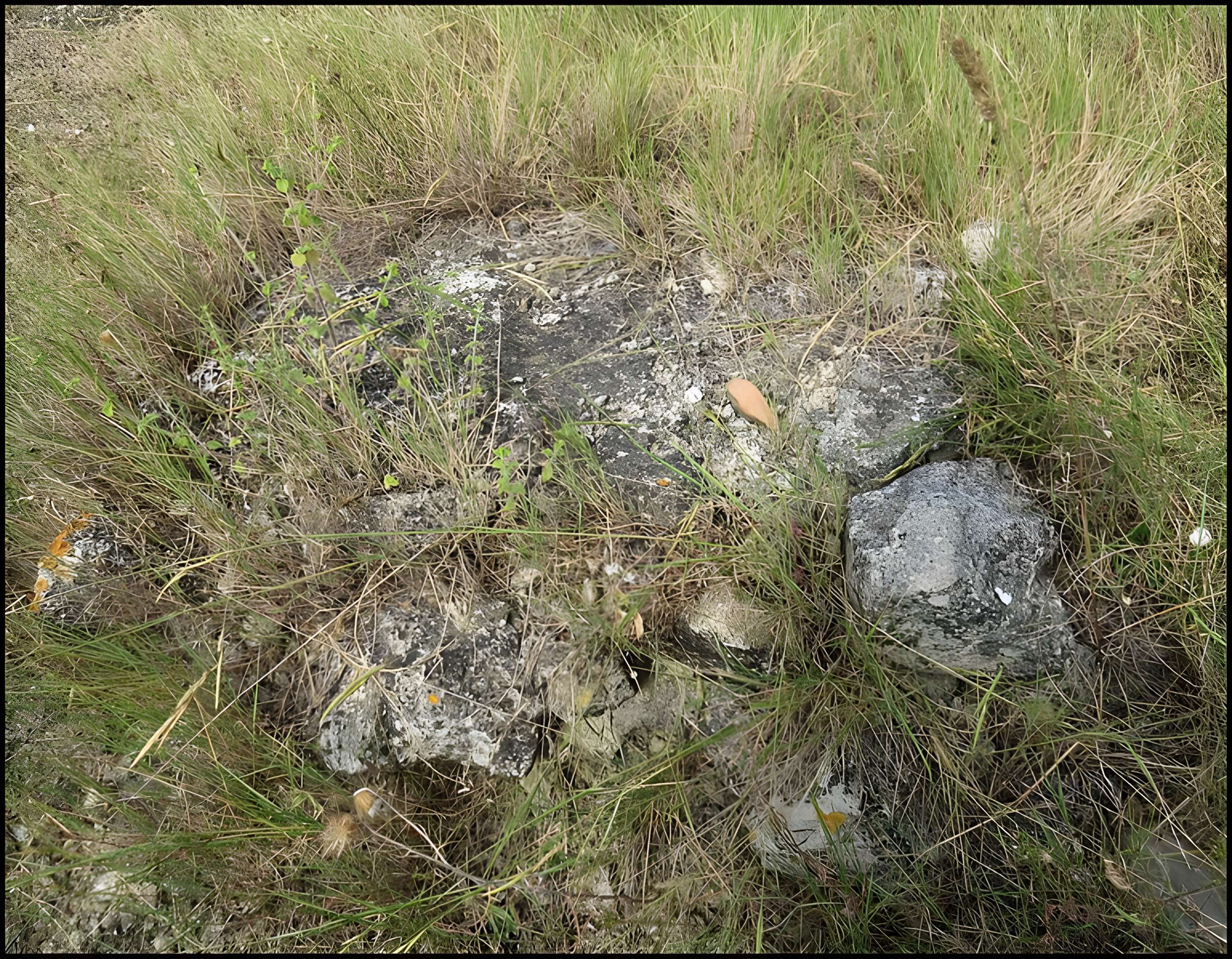 Villa gallo-romaine de Lespignan