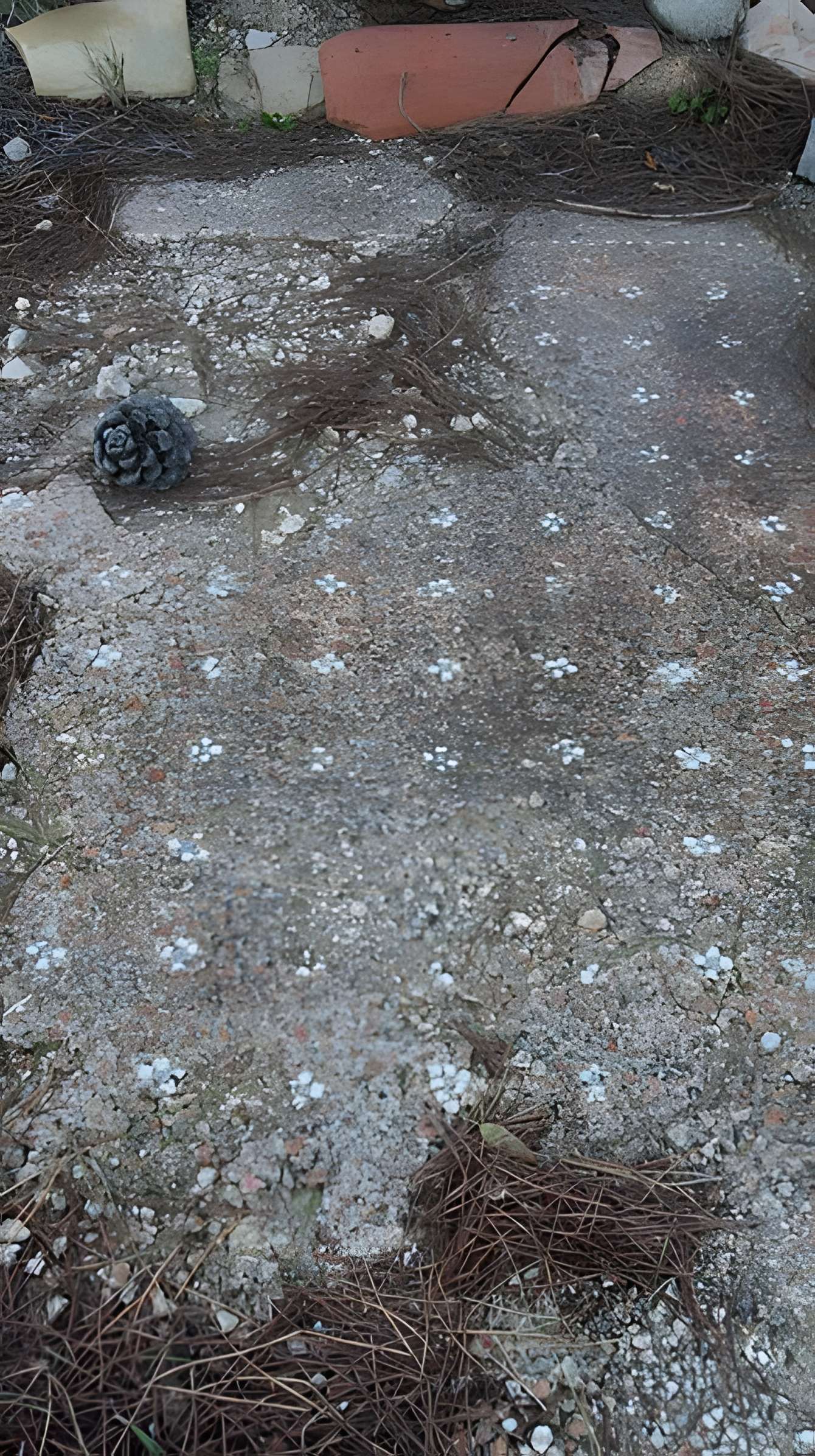 Villa gallo-romaine de Lespignan