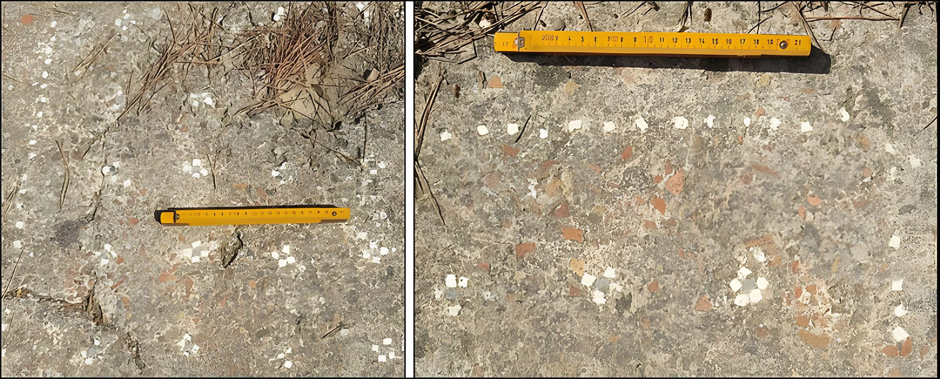 Villa gallo-romaine de Lespignan