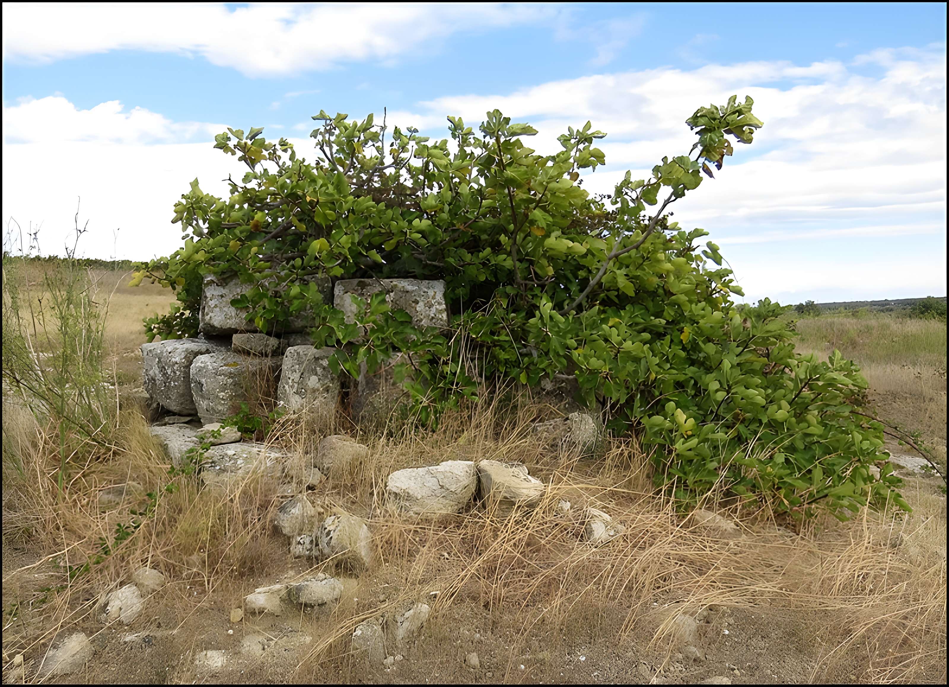 Villa gallo-romaine de Lespignan