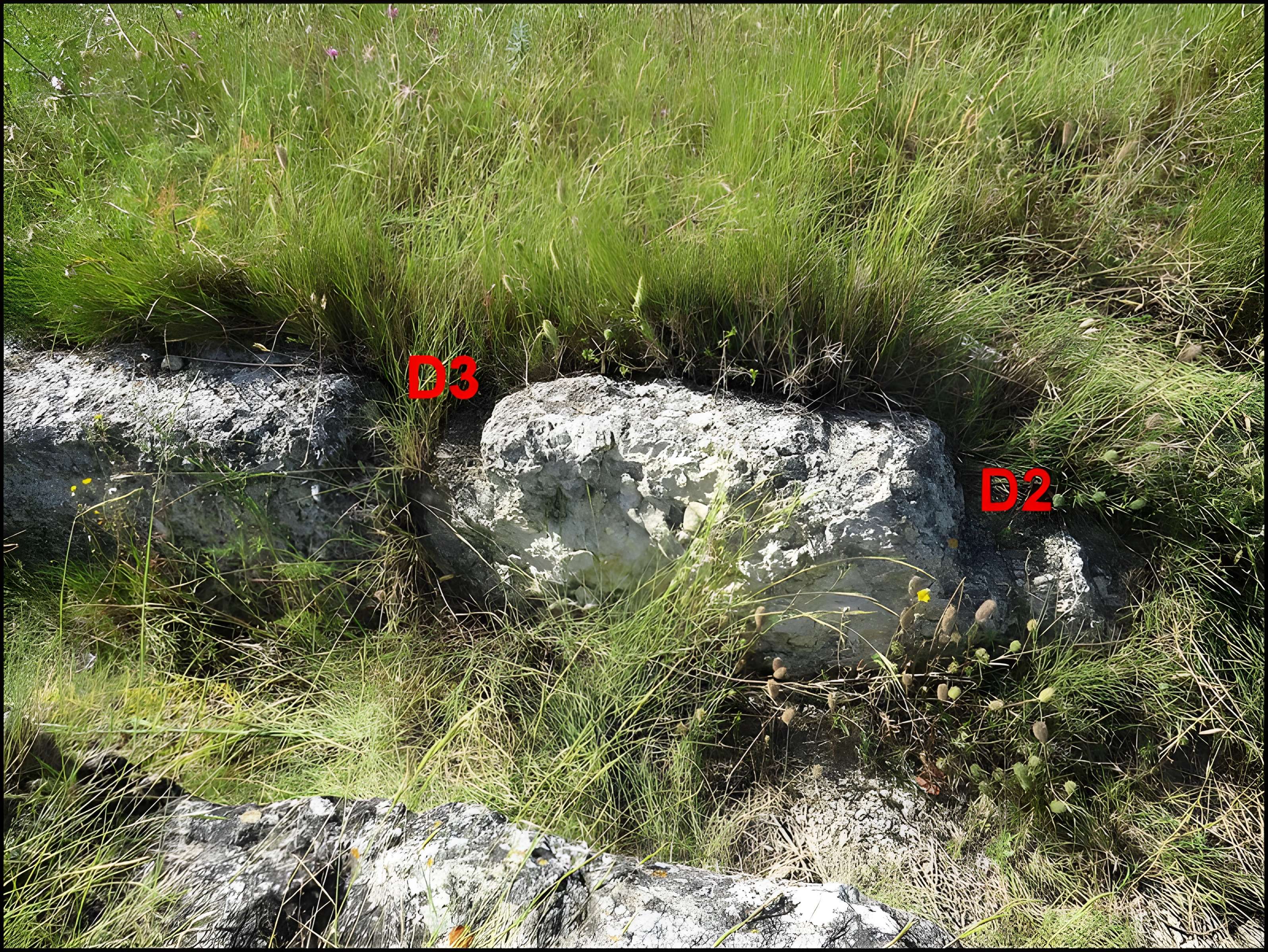 Villa gallo-romaine de Lespignan