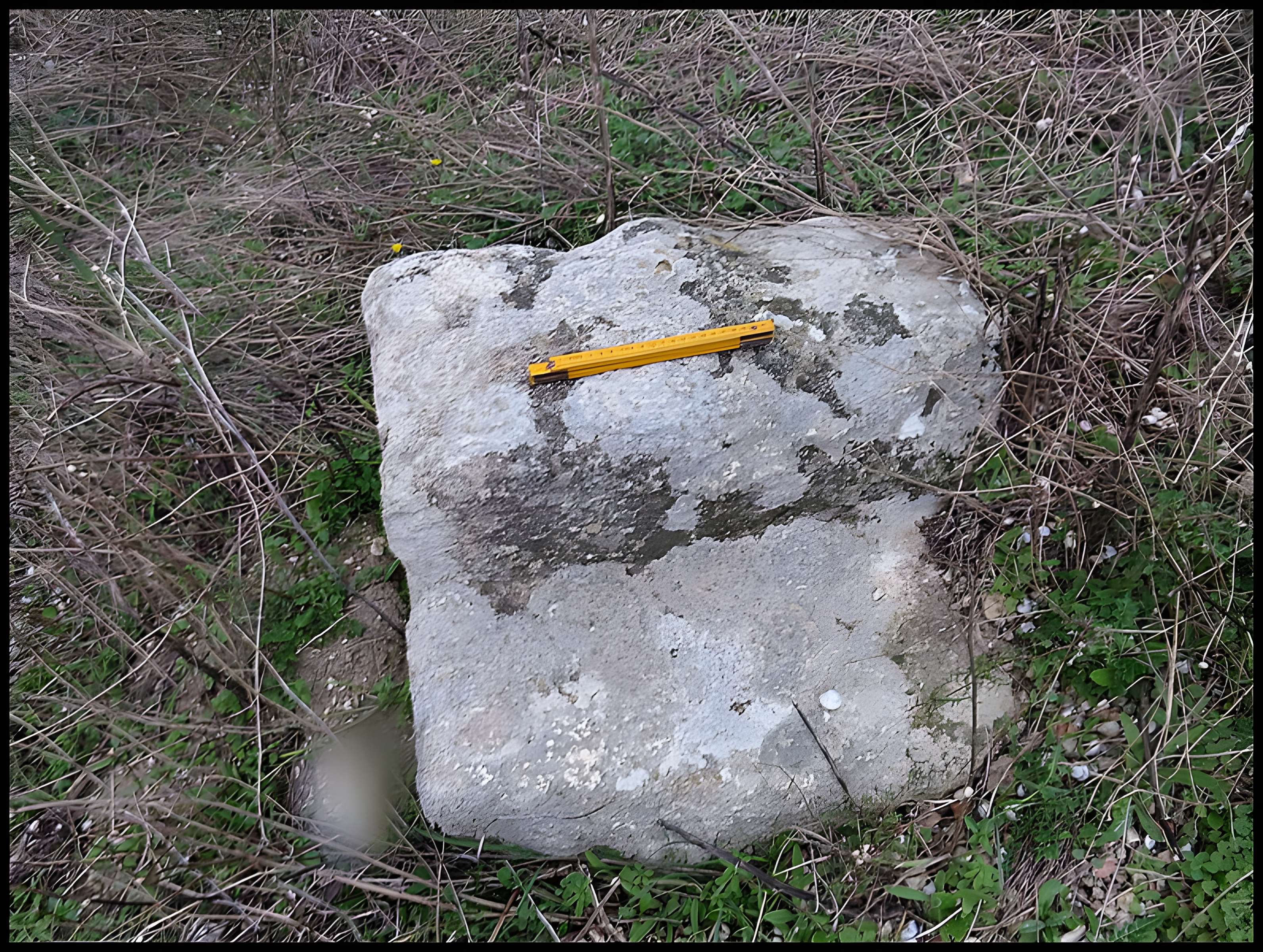 Villa gallo-romaine de Lespignan