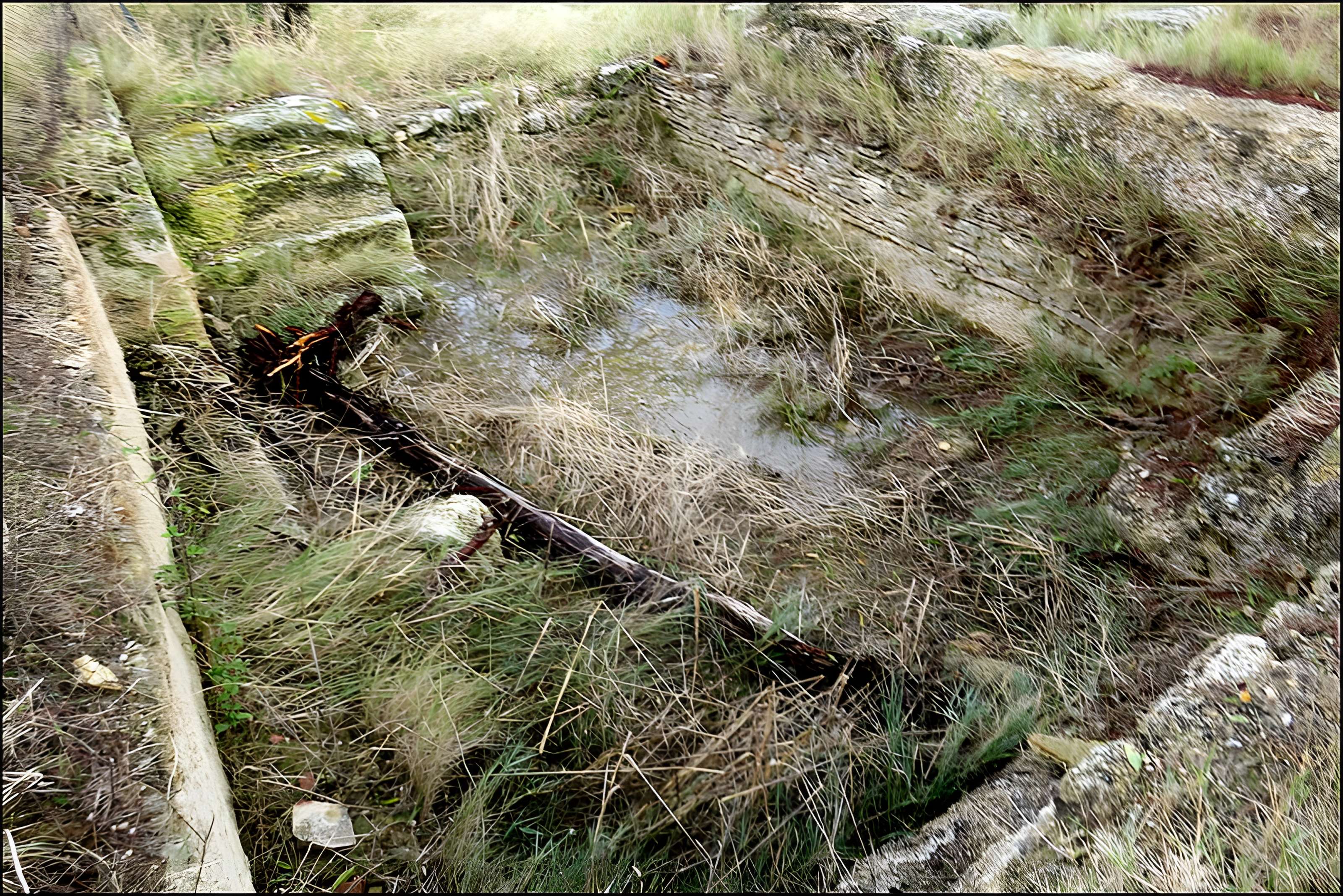 Villa gallo-romaine de Lespignan