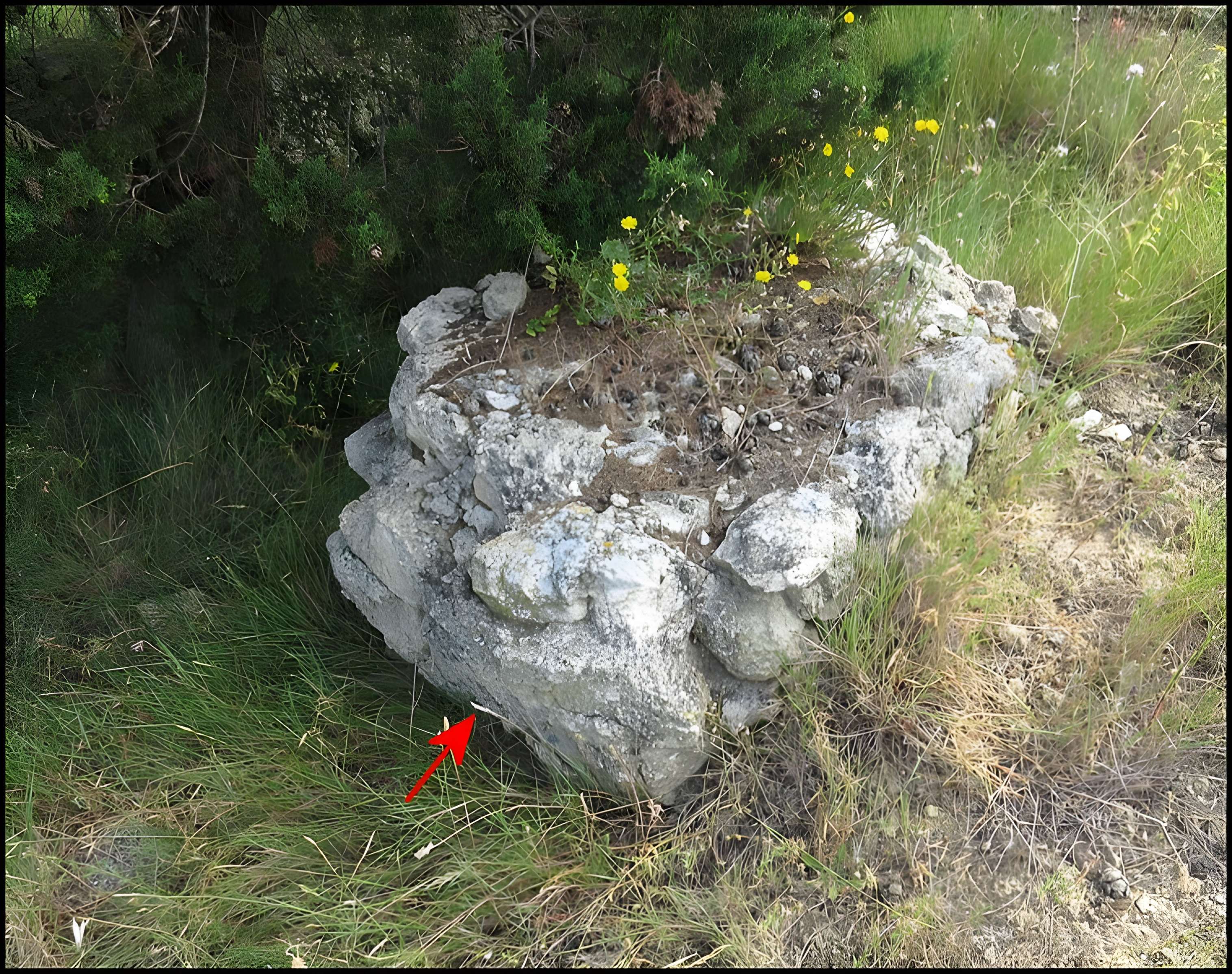 Villa gallo-romaine de Lespignan