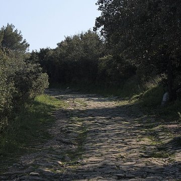 Voie Domitienne à Mèze