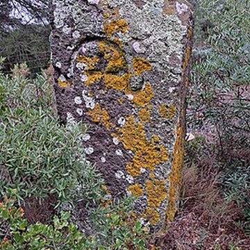 Voie Domitienne à Mèze