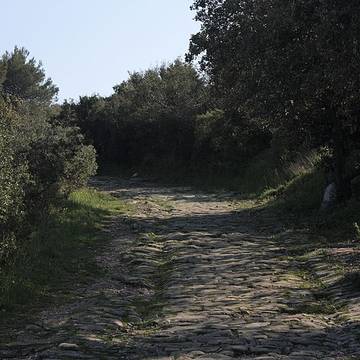 Voie Domitienne à Pinet