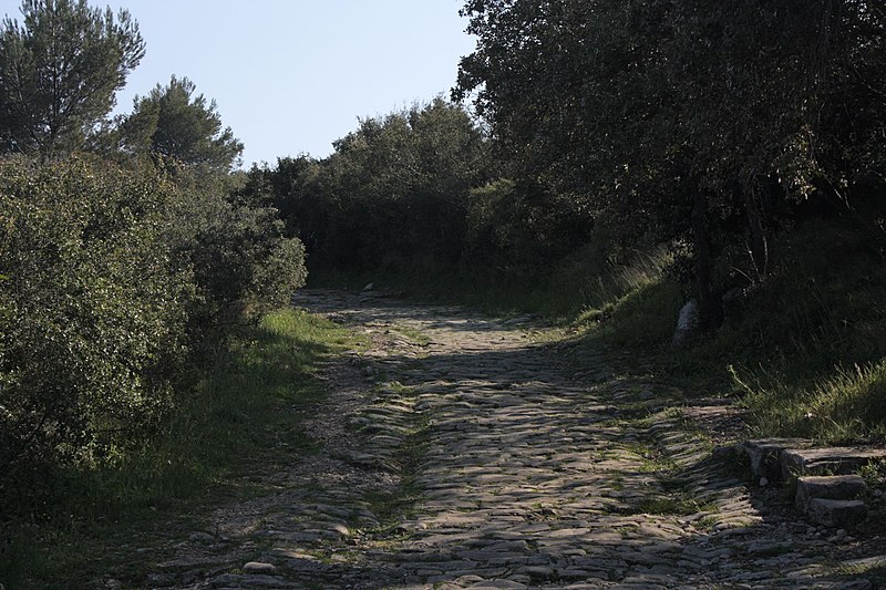 Voie Domitienne à Pinet