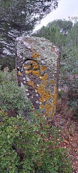 Voie Domitienne à Pinet