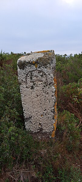 Voie Domitienne à Pinet