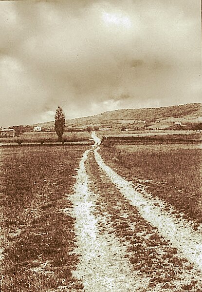 Voie Domitienne à Pinet