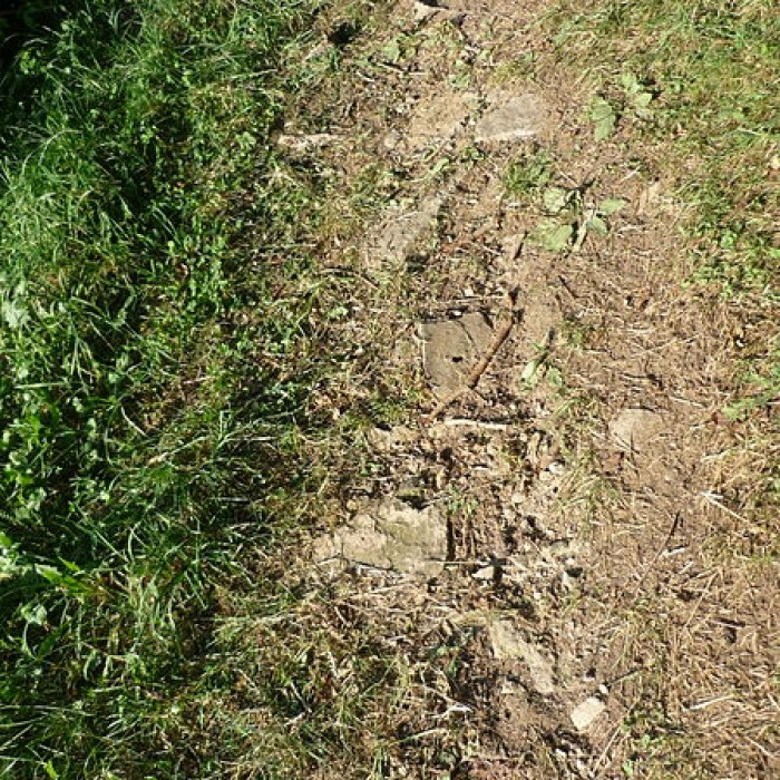 Photo de Voie romaine de Mardore