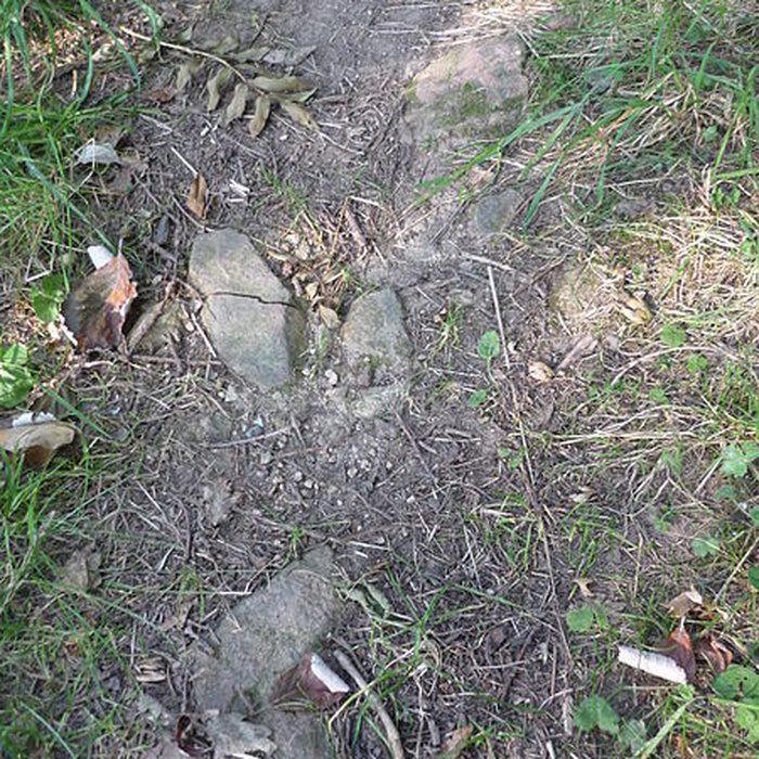 Photo de Voie romaine de Mardore