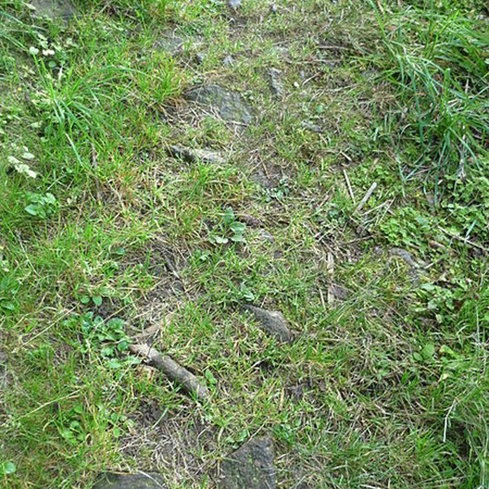 Photo de Voie romaine de Mardore