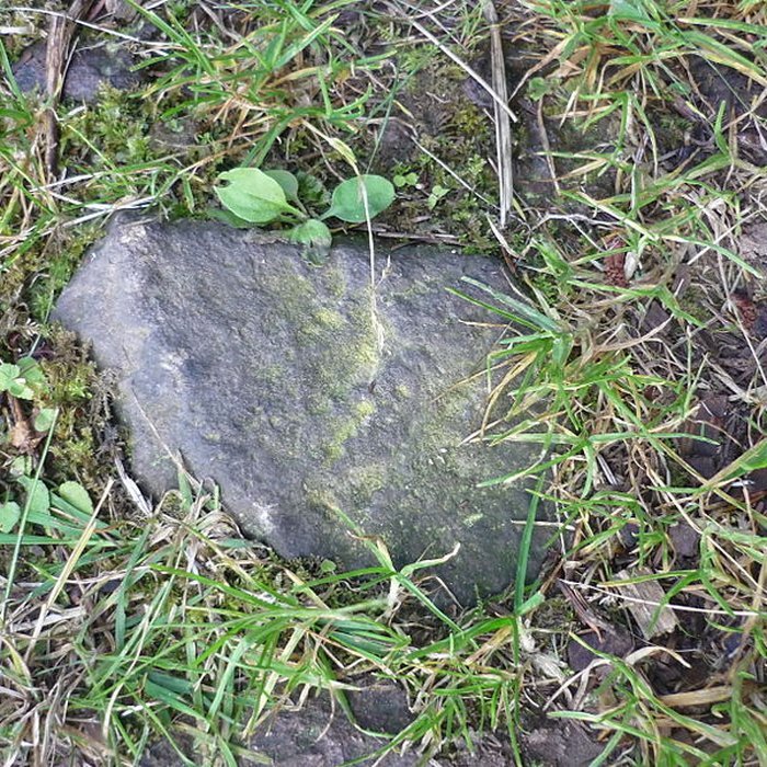 Photo de Voie romaine de Mardore