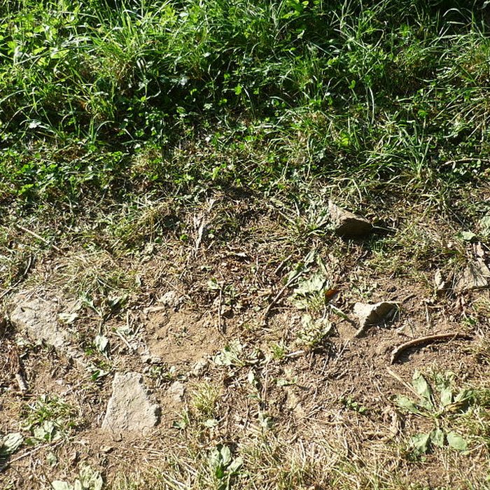 Photo de Voie romaine de Mardore