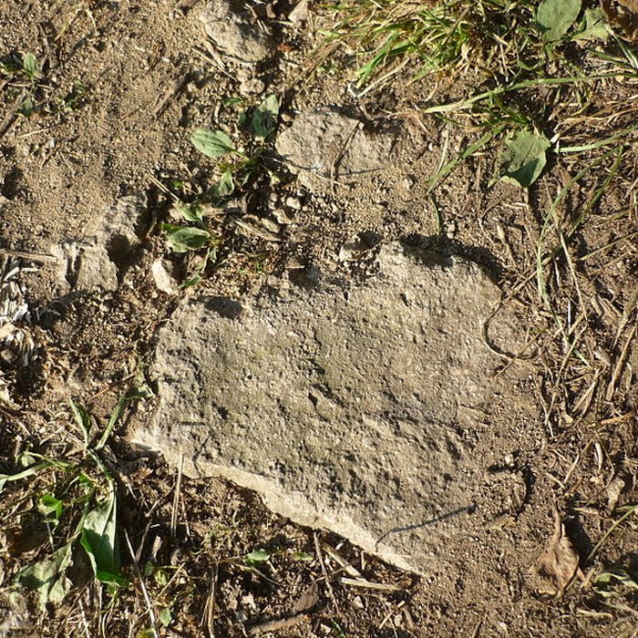 Photo de Voie romaine de Mardore