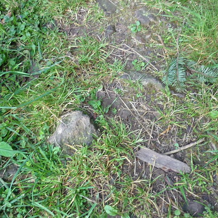 Photo de Voie romaine de Mardore