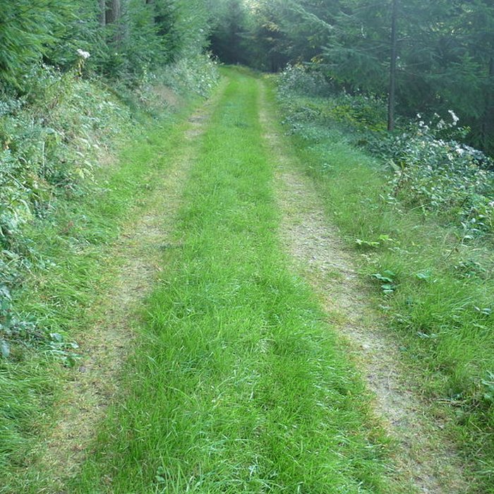 Photo de Voie romaine de Mardore