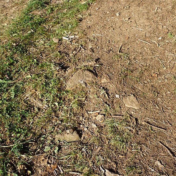 Photo de Voie romaine de Mardore