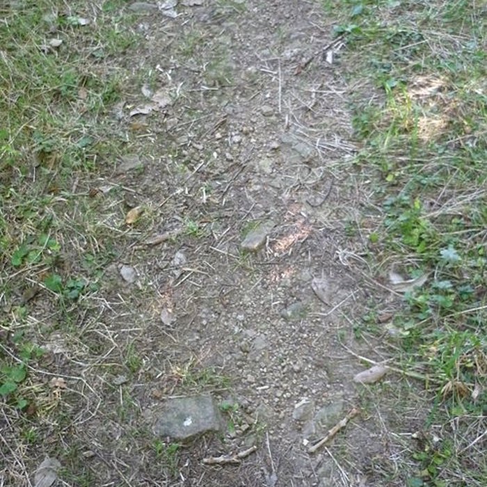 Photo de Voie romaine de Mardore