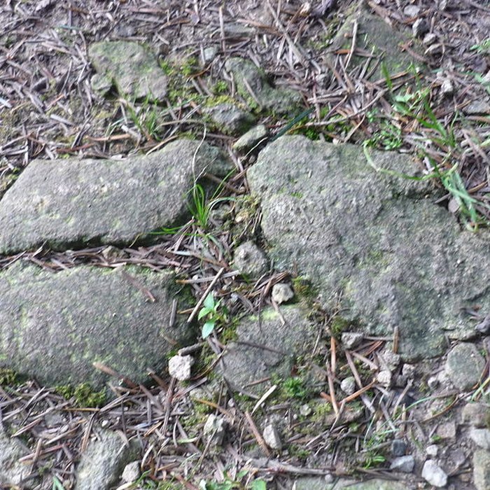 Photo de Voie romaine de Mardore