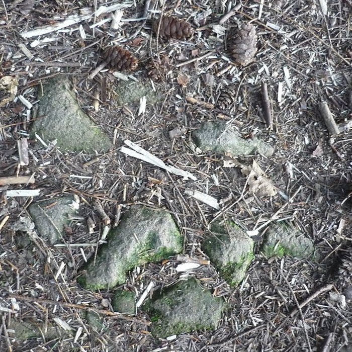 Photo de Voie romaine de Mardore