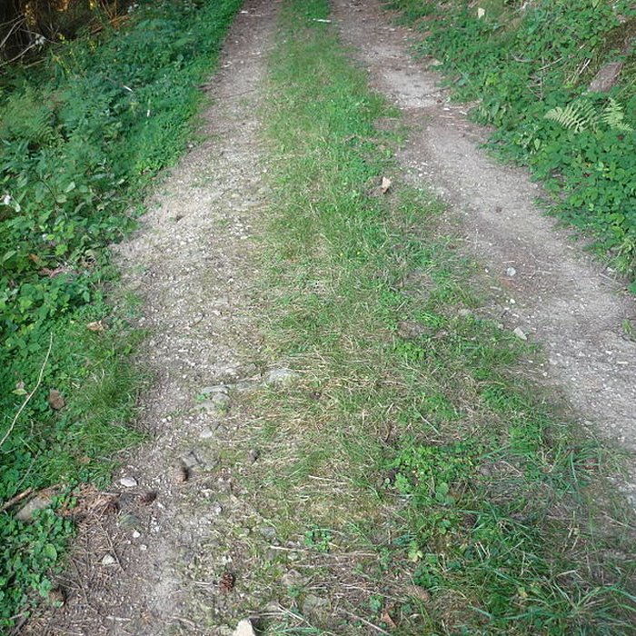 Photo de Voie romaine de Mardore