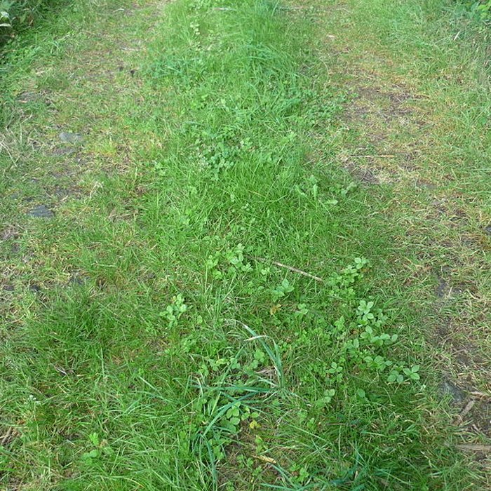 Photo de Voie romaine de Mardore