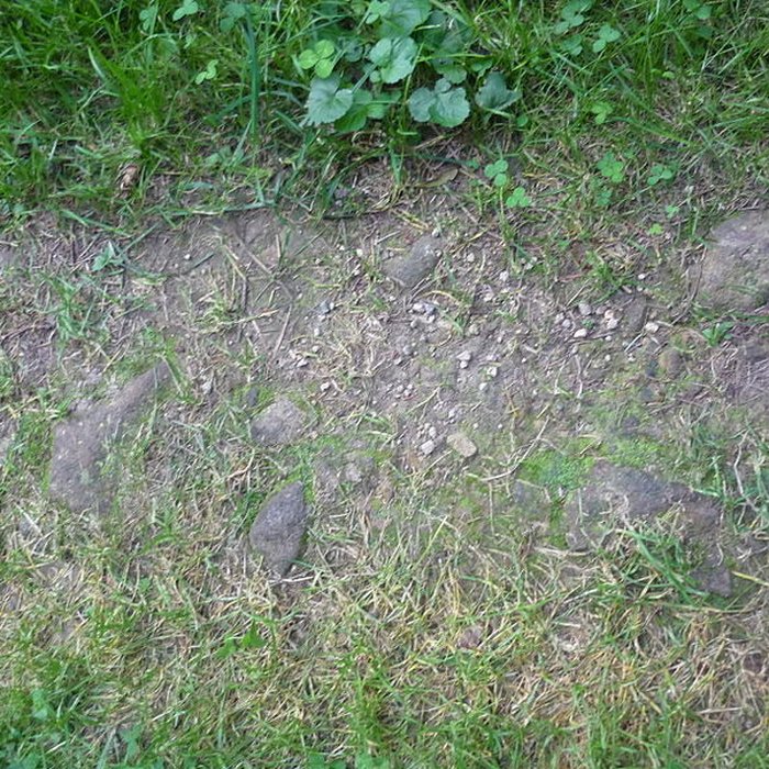 Photo de Voie romaine de Mardore