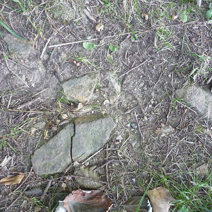 Photo de Voie romaine de Mardore