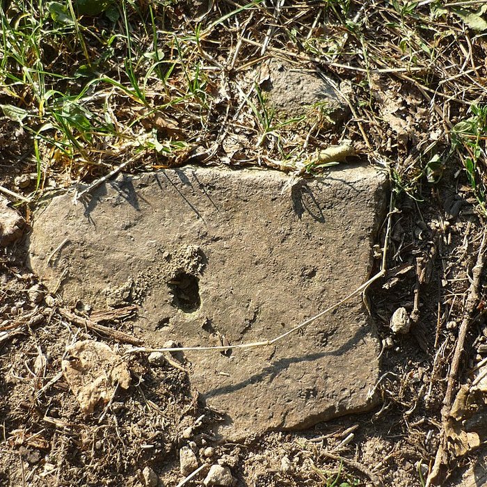 Photo de Voie romaine de Mardore