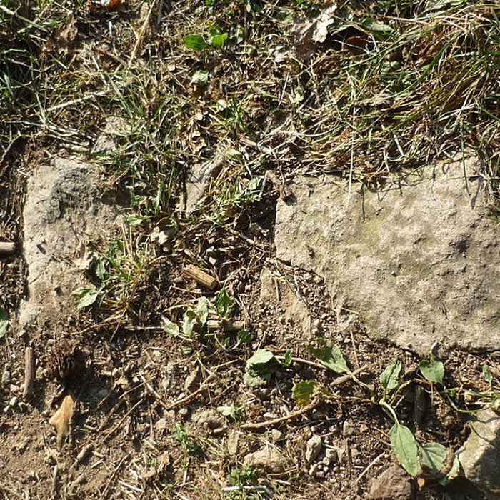 Photo de Voie romaine de Mardore