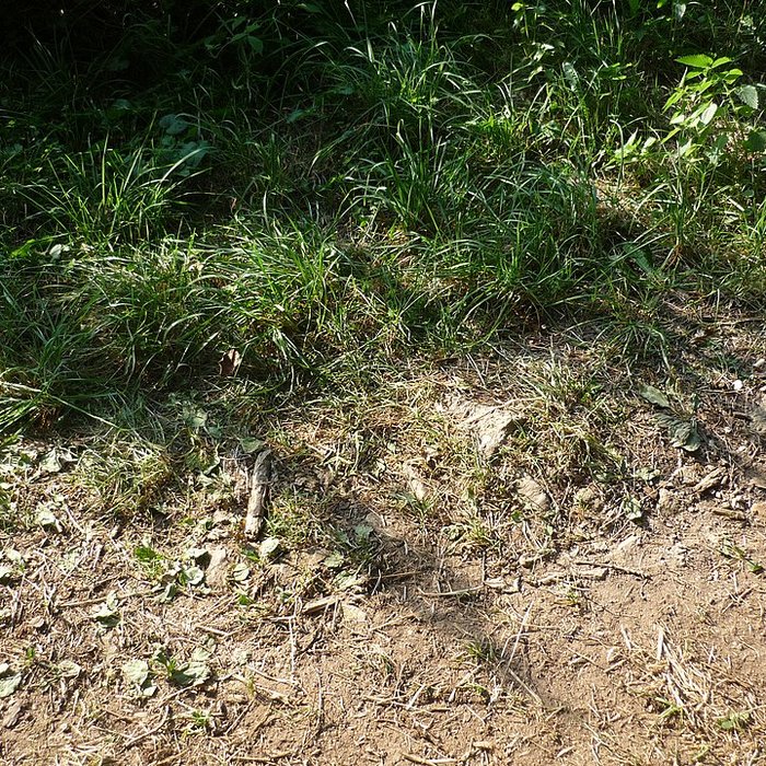 Photo de Voie romaine de Mardore