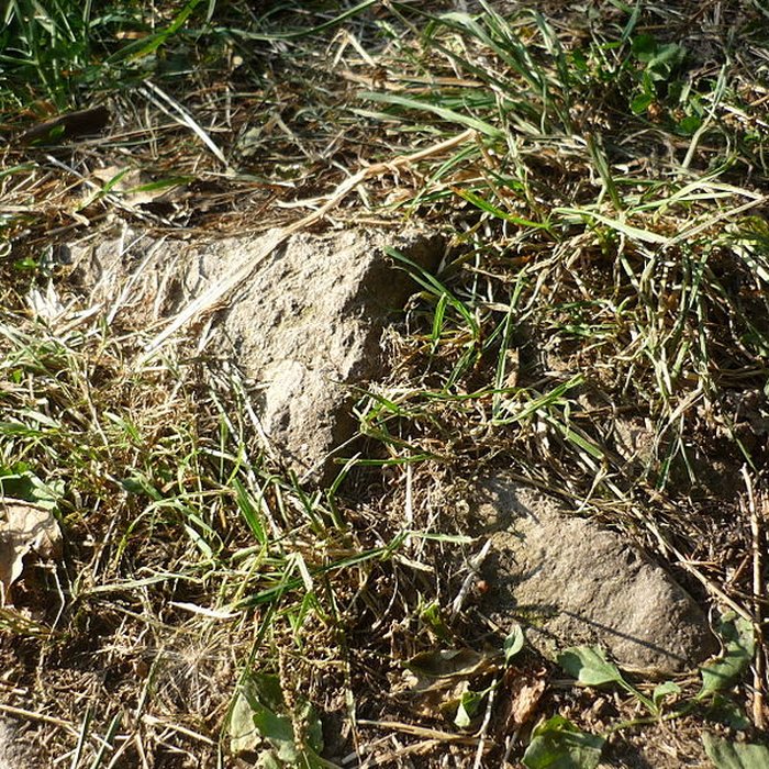 Photo de Voie romaine de Mardore