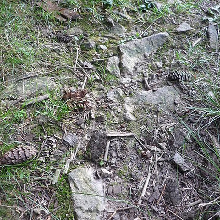 Photo de Voie romaine de Mardore