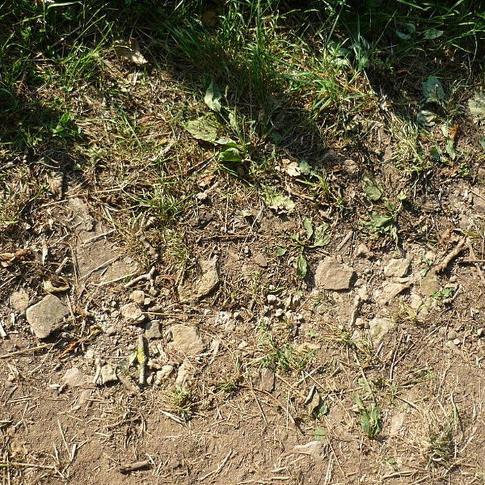 Photo de Voie romaine de Mardore