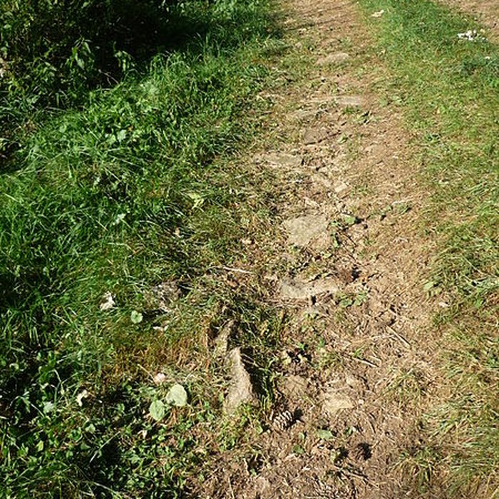 Photo de Voie romaine de Mardore