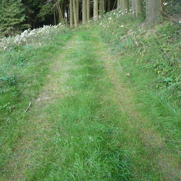 Photo de Voie romaine de Mardore