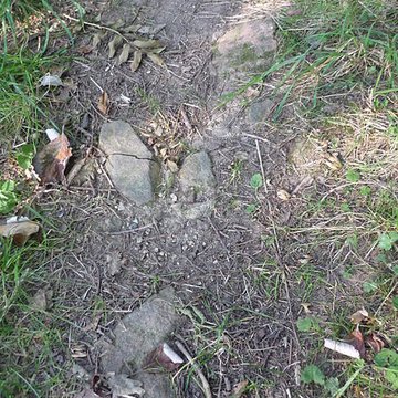 Voie romaine de Mardore