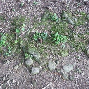 Voie romaine de Mardore