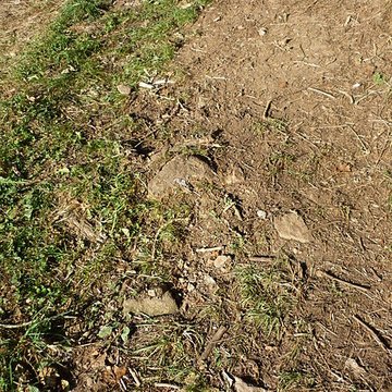 Voie romaine de Mardore