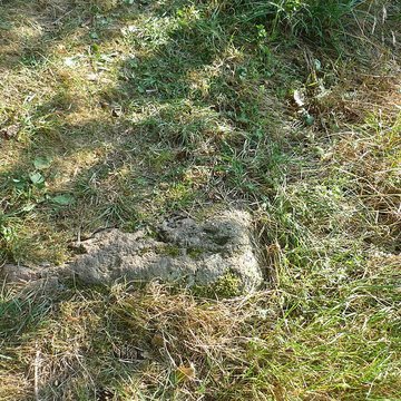 Voie romaine de Mardore