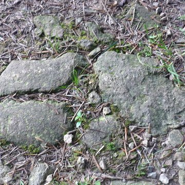 Voie romaine de Mardore