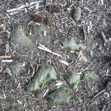 Voie romaine de Mardore