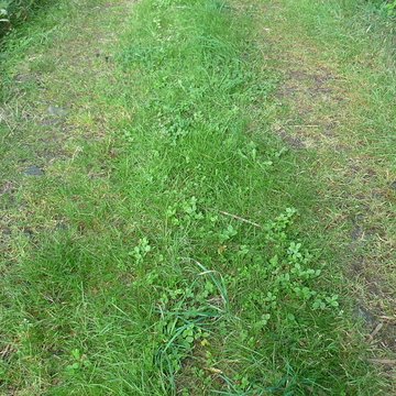 Voie romaine de Mardore