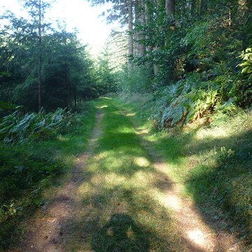 Voie romaine de Mardore